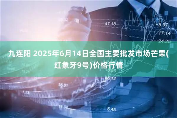 九连阳 2025年6月14日全国主要批发市场芒果(红象牙9号)价格行情