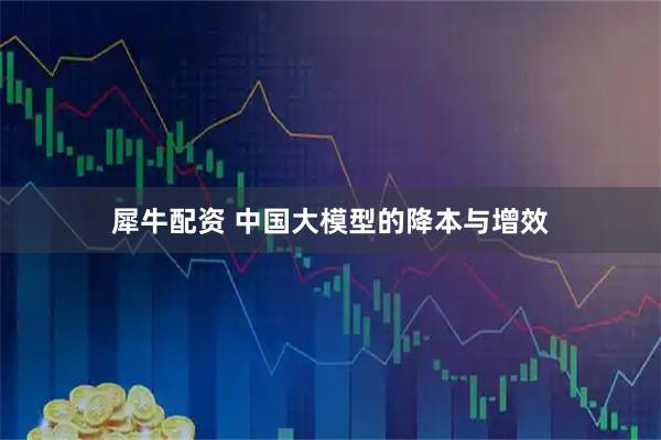 犀牛配资 中国大模型的降本与增效